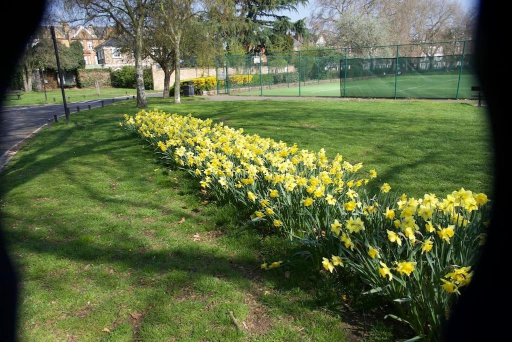 Glorious View Over The Park London Bagian luar foto