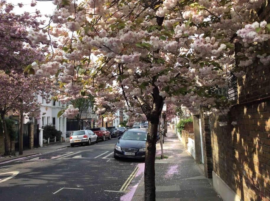 Glorious View Over The Park London Bagian luar foto